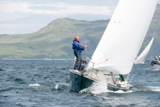 oystercatcher 3245c whyw16 thur 800 4678w